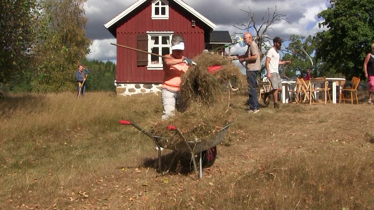 Bild från youtube-video