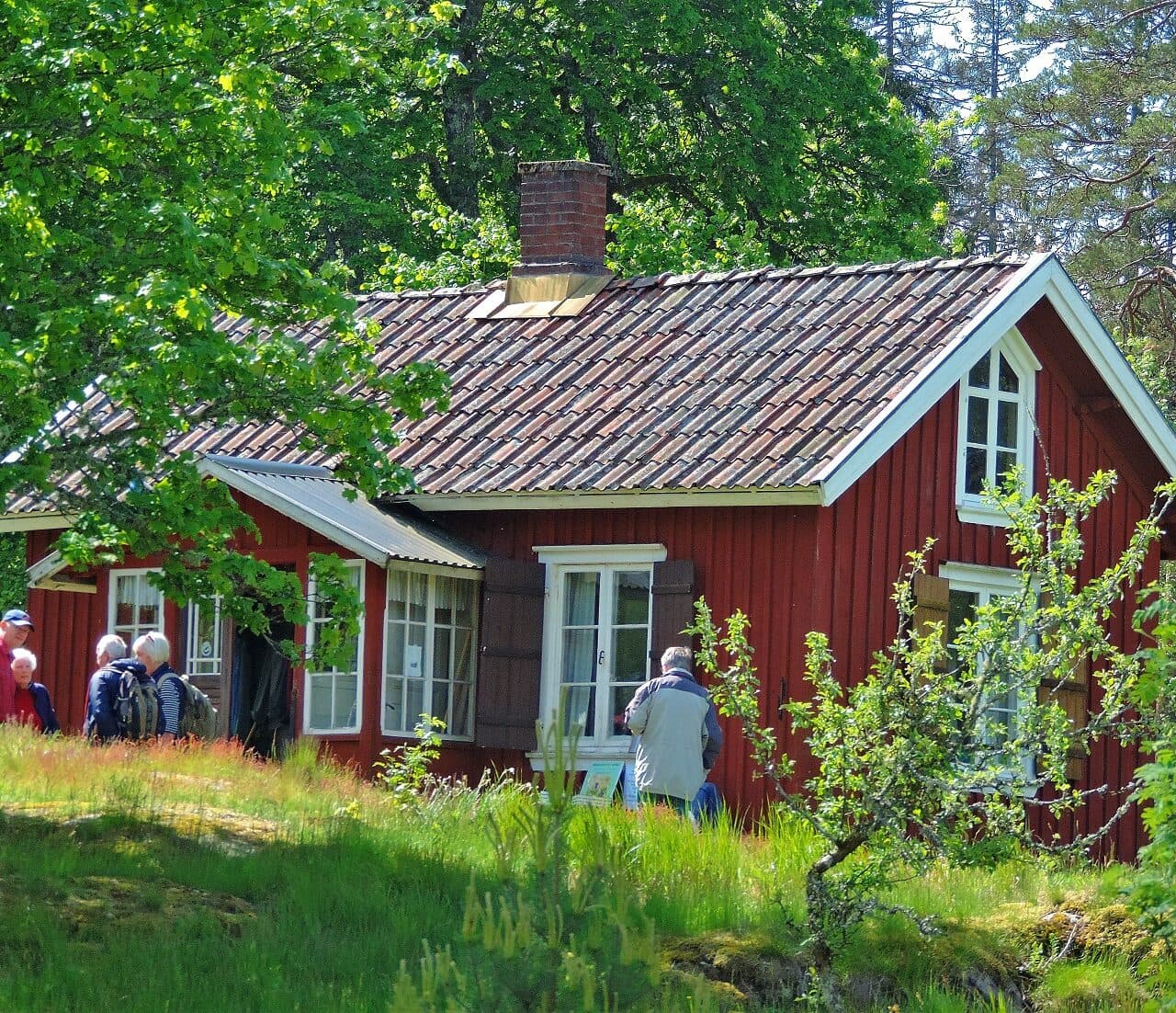 Grinnsjö en röd stuga med vita knutar omgiven av grönskande natur.
