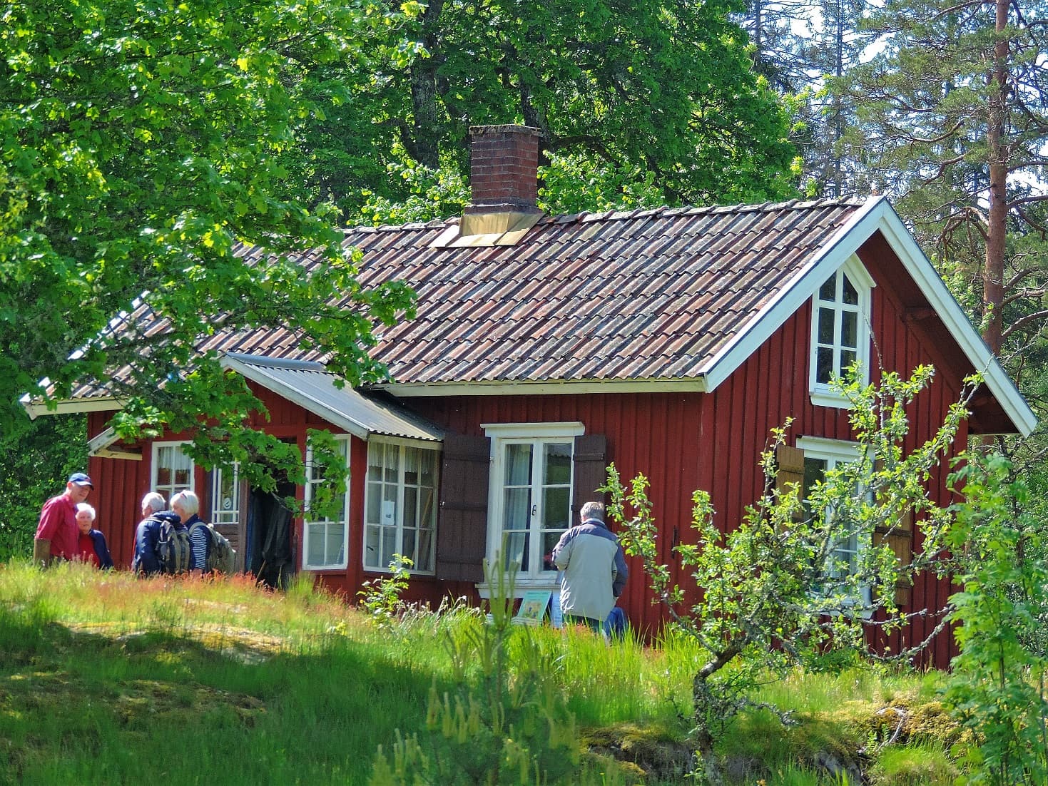 Grinnsjö en röd stuga med vita knutar omgiven av grönskande natur.