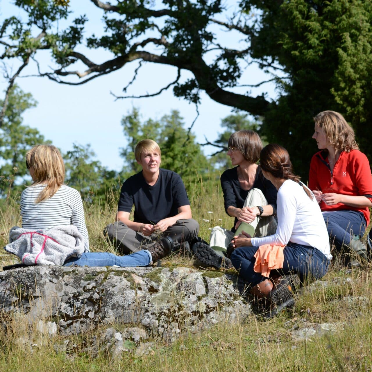 Några personer sitter i en grupp ute bland stenar och gräs i naturen