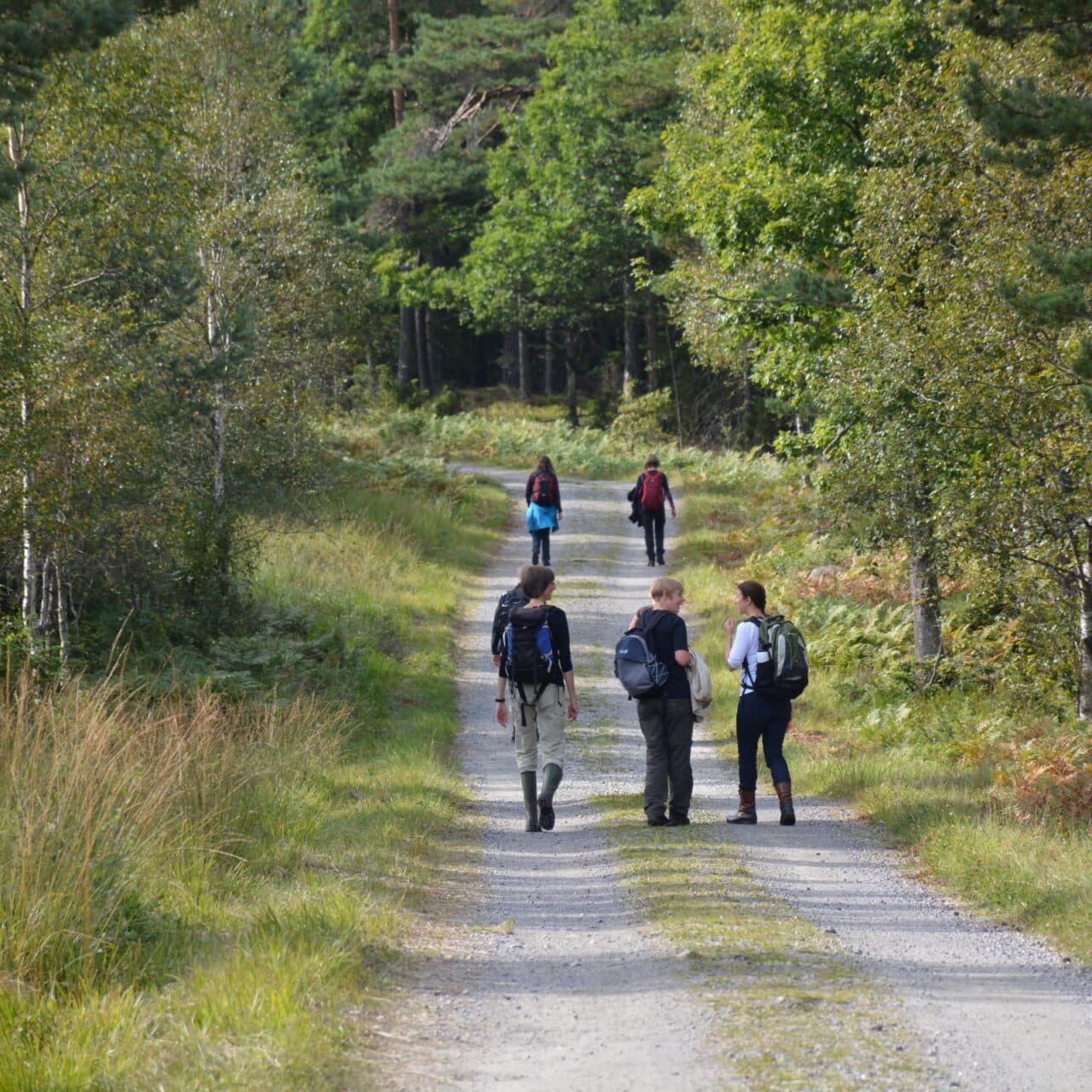 En grupp människor vandrar på en grusväg.