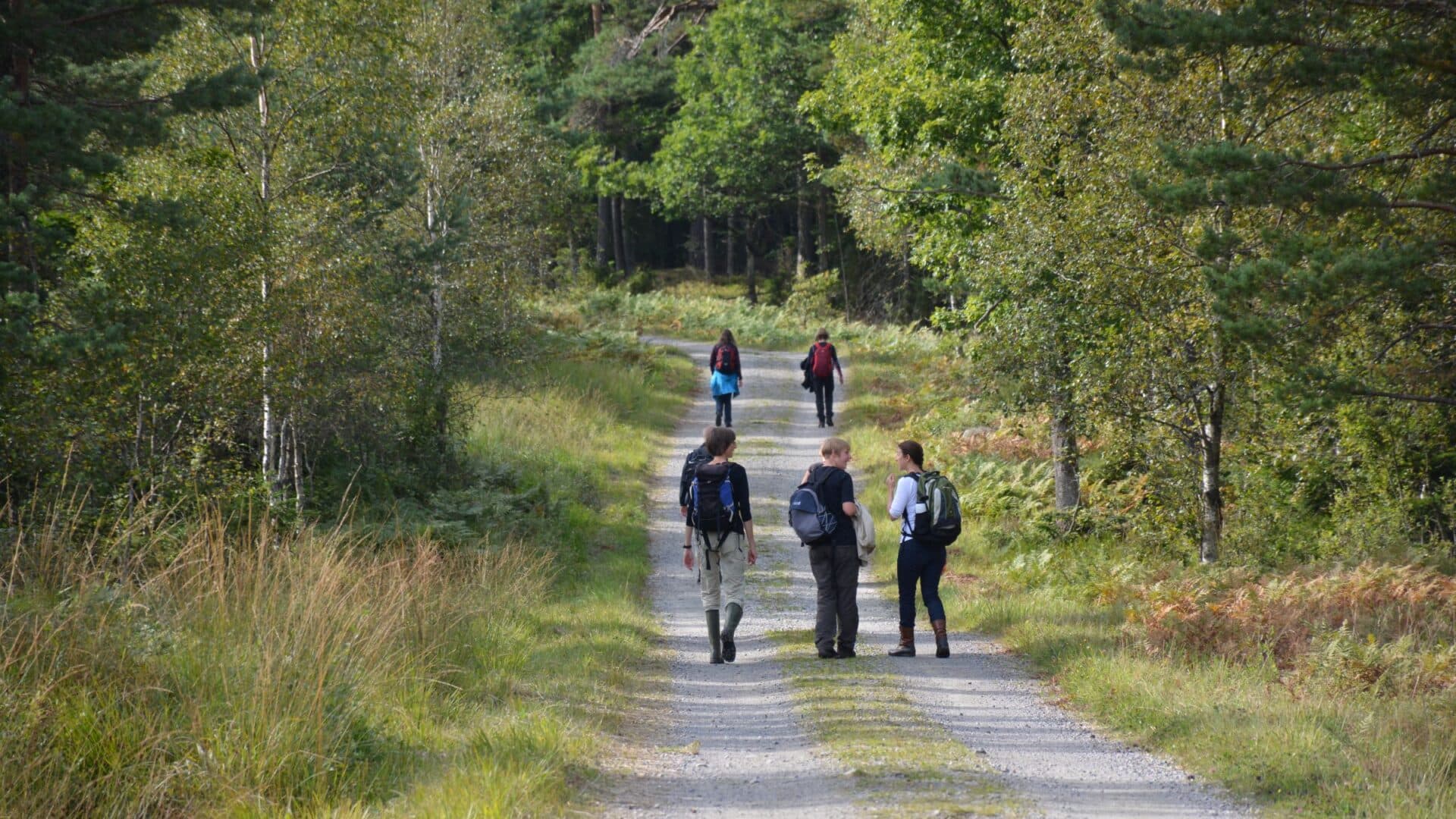 En grupp människor vandrar på en grusväg.