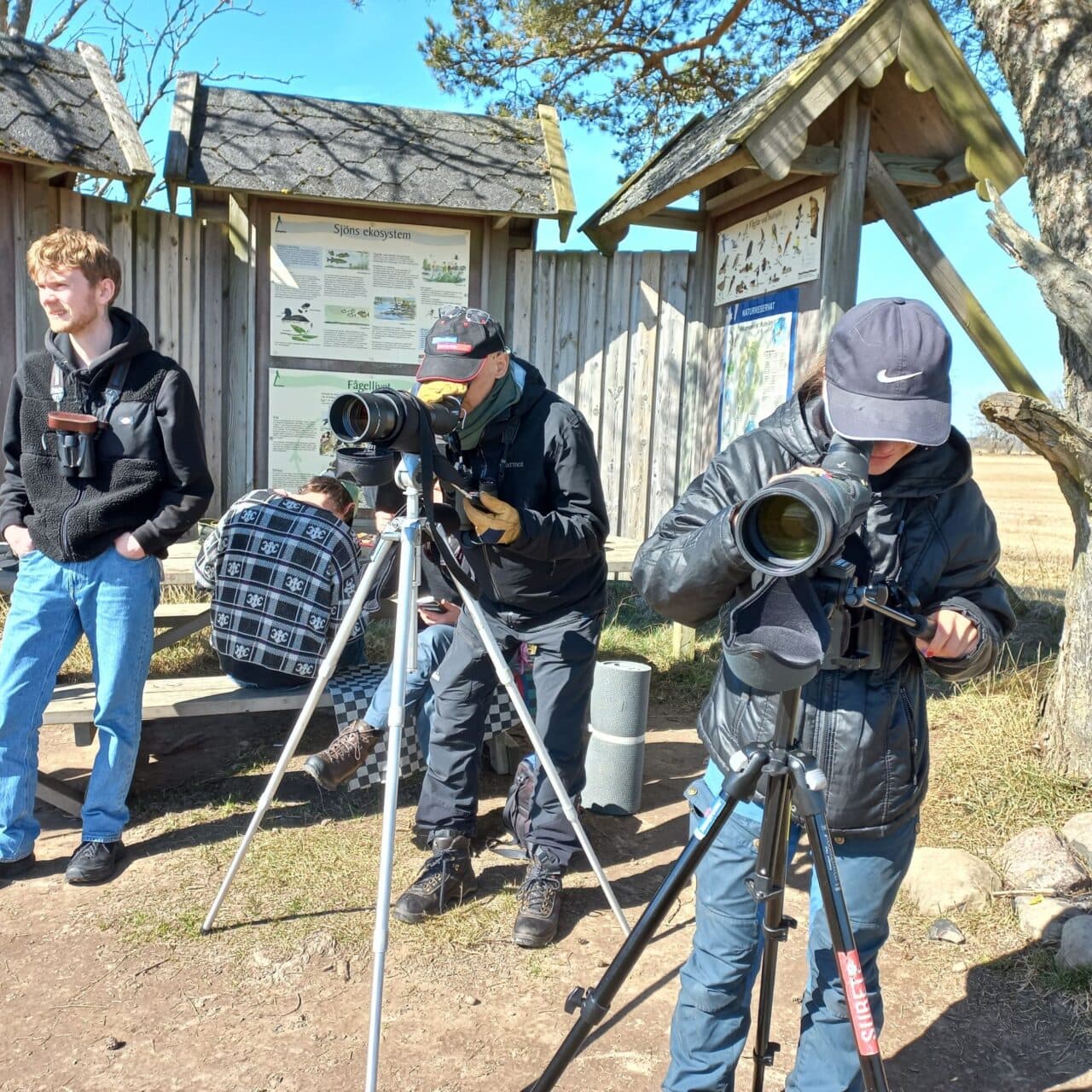 Fågelskådare med tubkikare vid Hullsjön