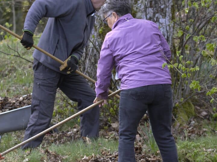 2 personer krattar bort vinterns löv runt Grinnsjötorp