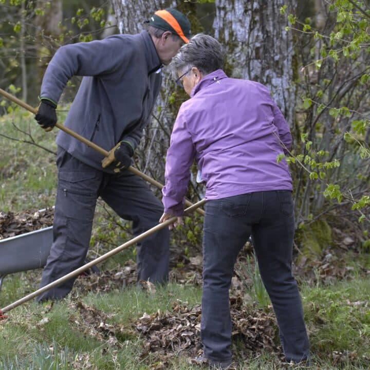 2 personer krattar bort vinterns löv runt Grinnsjötorp